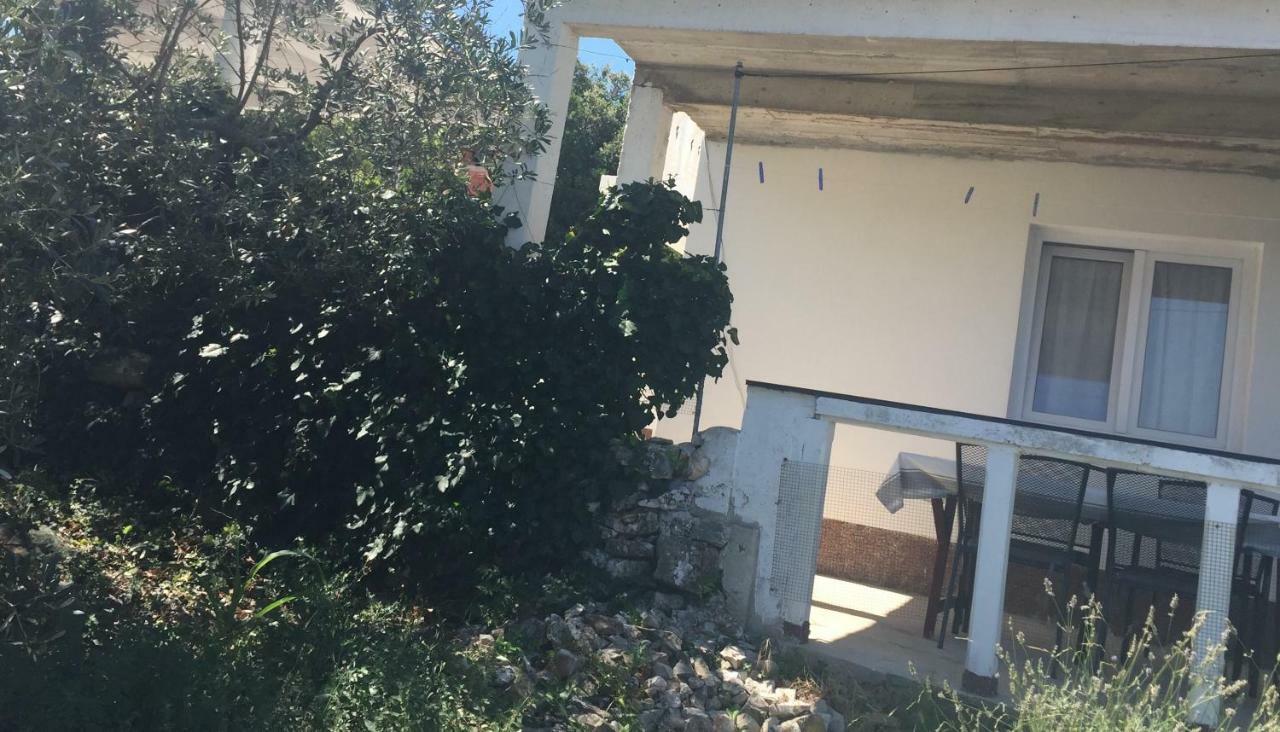 Mali Iz * Zadar