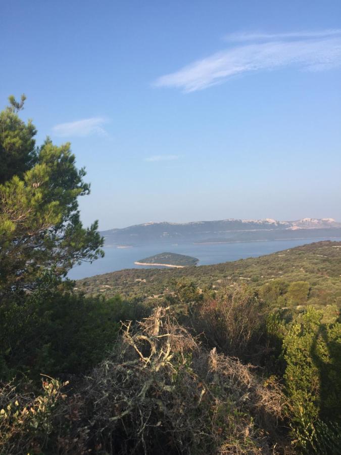 Mali Iz Ferienhaus Zadar